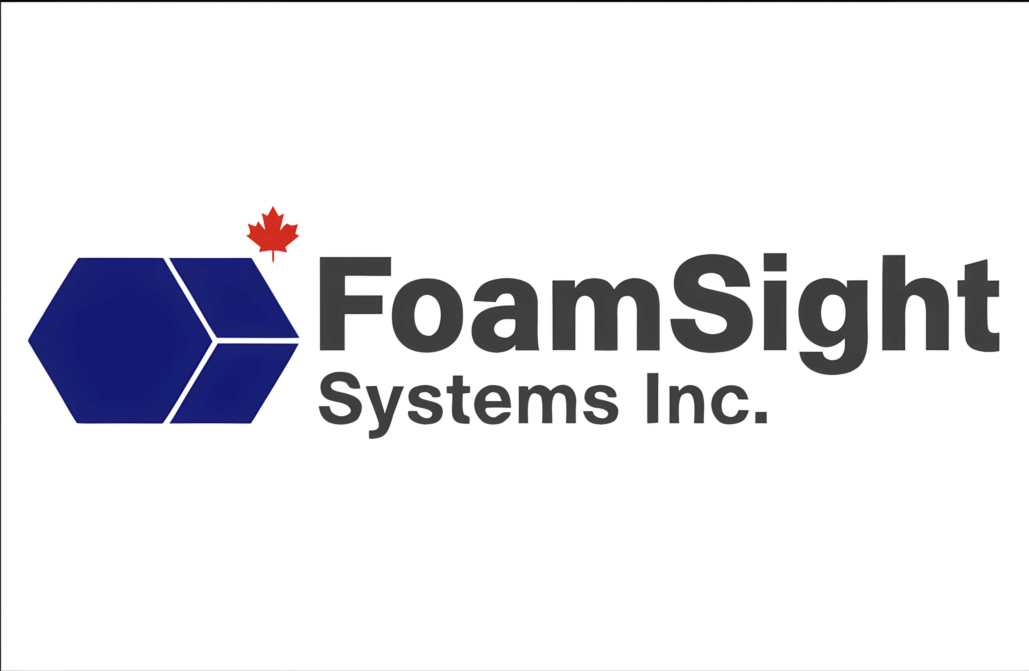 FoamSight Systems Inc. logo